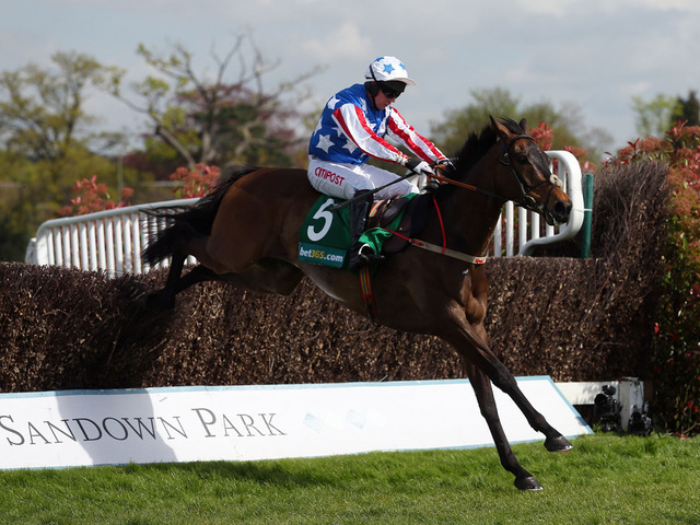 Special Tiara passeggia nella Gold Cup di Sandown