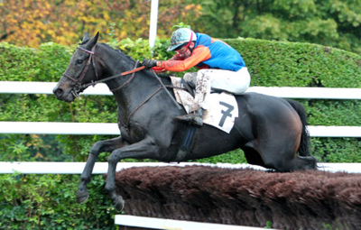 Spettacolo ad Auteuil con il Prix La Barka e il Grande Steeple Chase di Paris