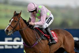 Faugheen resta imbattuto, dominio assoluto nelle Punchestown Champion Hurdle