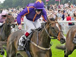 Simenon pronto al rientro. “Ascot il suo obiettivo” ha dichiarato Patrick Mullins