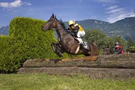 Anteprima Merano, domenica Siepi d’Italia, Criterium e l’affascinante Grande Steeple Chase di Roma