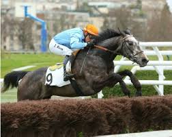 Auteuil. Ancora una vittoria per la femmina volante Kotkikova nel Prix du Vivarais