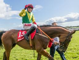 Shanahan’s Turn vince il Galway Plate. Il giovane Johnny Burke porta in trionfo il rappresentante della famiglia Potts allenato da Henry de Bromhead, allenatore al suo primo ‘piatto’ di Galway