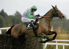 Hidden Cyclone in bilico fra il Connacht Handicap e le Galway Hurdle