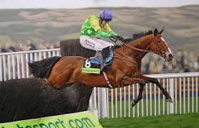 L’ addio a Kauto Star. Paul Nicholls: “Il campione dei campioni”