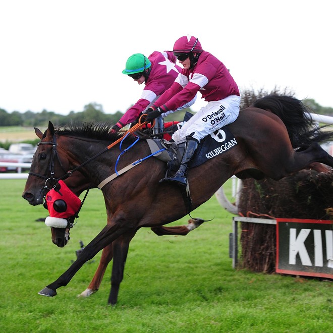 Ravished vince le Midlands National Chase di Kilbeggan per i colori locali del patron Michael O’Leary