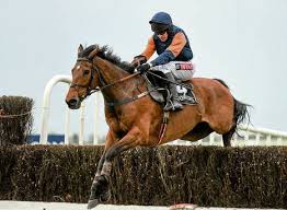 Rebel Fitz si prepara per il Galway Plate. Il vincitore delle Hurdle 2012 è in buona forma, come ha dichiarato il suo allenatore Michael Winters