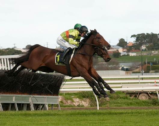 Domenica a Ballarat l’Australian Grand National Chase, con Ruby Walsh e Bashboy pronti a scrivere la storia.