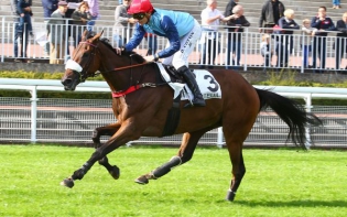 Francia. Prix Reinaud Du Vivier, la Gran Siepi per i 4 anni, grande attesa per lo scontro fra l’imbattuto Blue Dragon e Bonito du Berlais