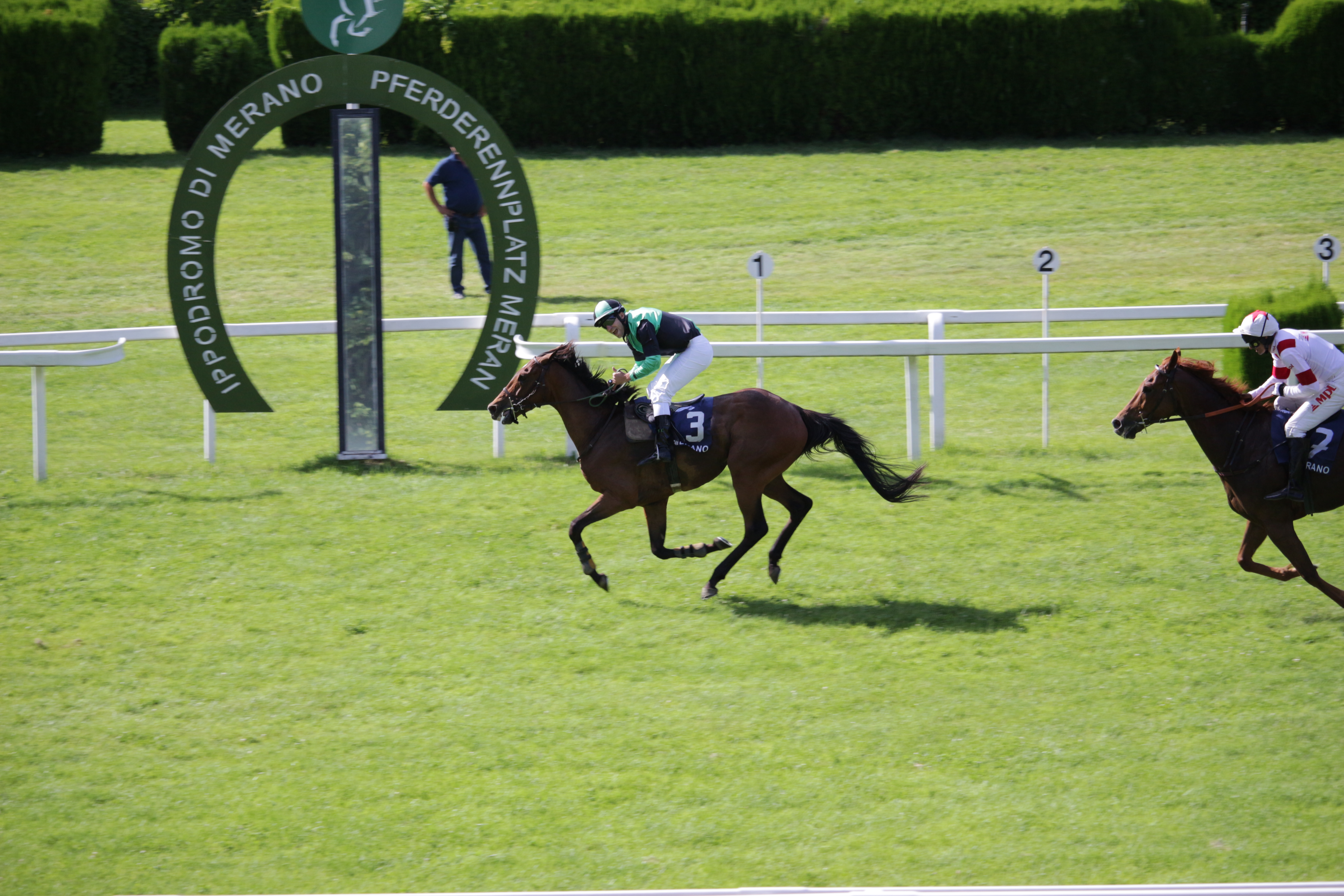 Il Superstite in prima fila per il Merano, vince l’Assi. Chiaromonte devastante al rientro prenota la Gran Siepi; High Master si conferma leader assoluto dei 4 anni, Triple Pursuit novizio smart