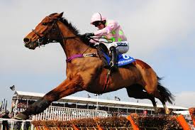 Irlanda, Faugheen e Douvan per il dopo Hurricane Fly