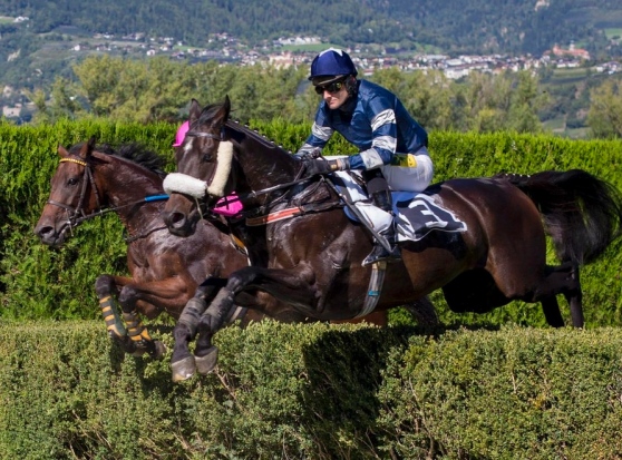 Italia. Merano torna a correre di domenica. Interessante lo steeple riservato agli anziani, dove il veterano Alcydon Fan spera nel meteo, contro la truppa Vana e i due Favero. Martello, Rio Apache e Bukhari attesi fra gli anziani in siepi, Mesa Arch, Musique de La Nuit e Lord E nel Tatti Jacopo