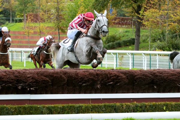 Auteuil. Bipolaire conquista anche il Triquerville, resta imbattuto e guarda al Grande Steeple dei 4 anni