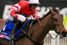 King George Chase. Coneygree out per infortunio, salterà la classica di Santo Stefano in programma a Kempton Park