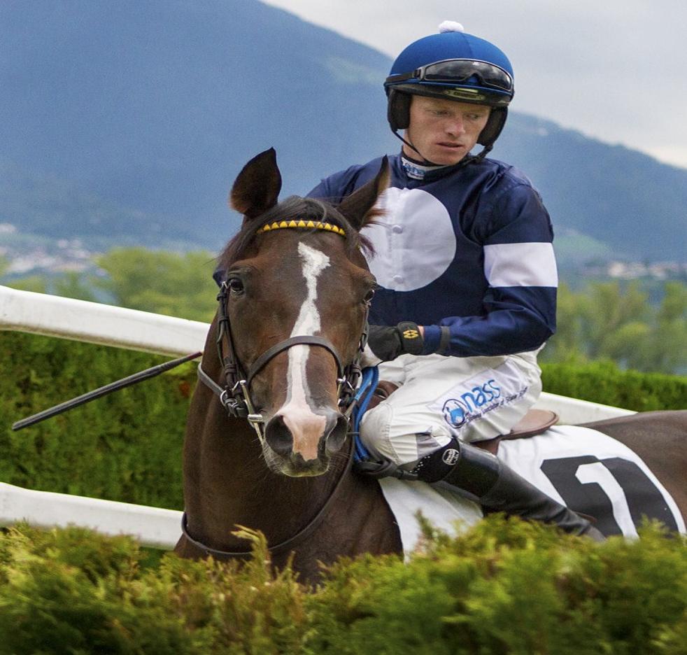 Milano domenica, tripletta per il champion trainer Paolo Favero. Devonian impressiona, bene Uni Light e Monello