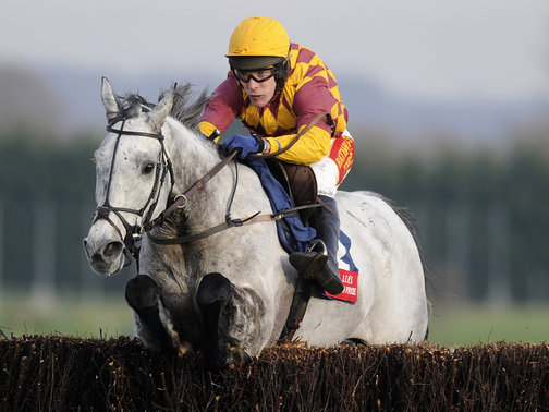 Dynaste prossimo al rientro. Il grigio di Pipe potrebbe tornare domenica ad Auteuil