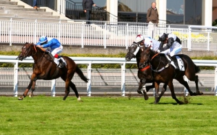 Buona l’undicesima, Rock The Race vince il Pracomtal ad Auteuil (Quinté) e si toglie la qualifica di maiden