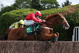 Il vincitore delle Queen Mother 2014 Sir de Grugy, pronto alla ricomparsa domenica prossima a Chepstow