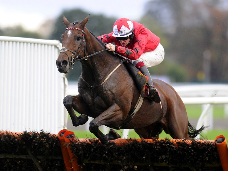 Inghilterra. Grande rientro del veterano The New One, che conquista per la terza volta le International Hurdle di Cheltenham, battuto il McManus My Tent On Yours.