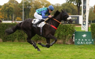 Colpaccio Cherel, Vent Sombre sbanca nel Grande Steeple Chase di Enghien. Double James Reveley