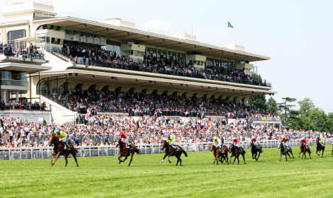 FRANCIA. Parigi pronti. Ad Auteuil questo sabato va in scena il primo atto della stagione con un interessante edizione del Prix Robert de Clermont Tonnerre, Gr3 in chiave grande steeple