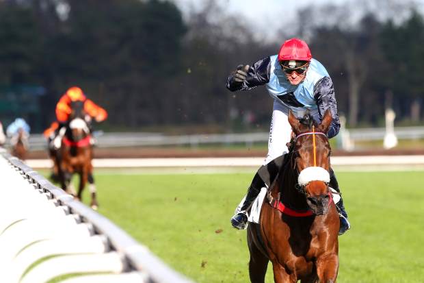 Francia. Ad Auteuil Blue Dragon annichilisce i suoi avversari nel Prix Lèon Rambaud, l’allievo di Guy Cherel difende senza sforzo il titolo candidandosi alla prossima Grand Haies