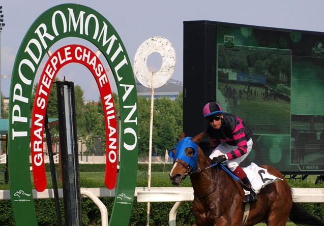 Italia. L’italiana di Francia Samsara affidata ad Arnaud Duchene, cerca il lasciapassare nel Grande Steeple Chase di Milano. La star Santo Cerro vuole il tris nella Corsa Siepi per i 4 Anni, Tramonto A Ivry difende il titolo nel Martesana