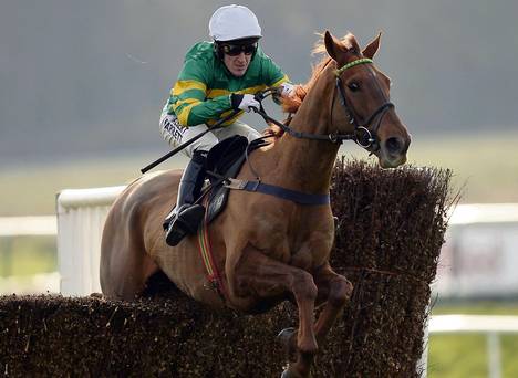 Pendra guarda al prossimo Grand National. Il rappresentante di John McManus passerà nuovamente da Ascot per poi preparare il 2016