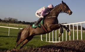 Vautour domani ad Ascot torna in pista dopo l’impressionante vittoria ottenuta nelle Jlt di Cheltenham lo scorso Marzo