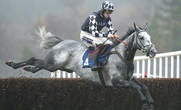 Sandown. Forfait di Un de Sceaux alle Tingle Creek, attesi Vibrato Valtat, Special Tiara e Simonsig