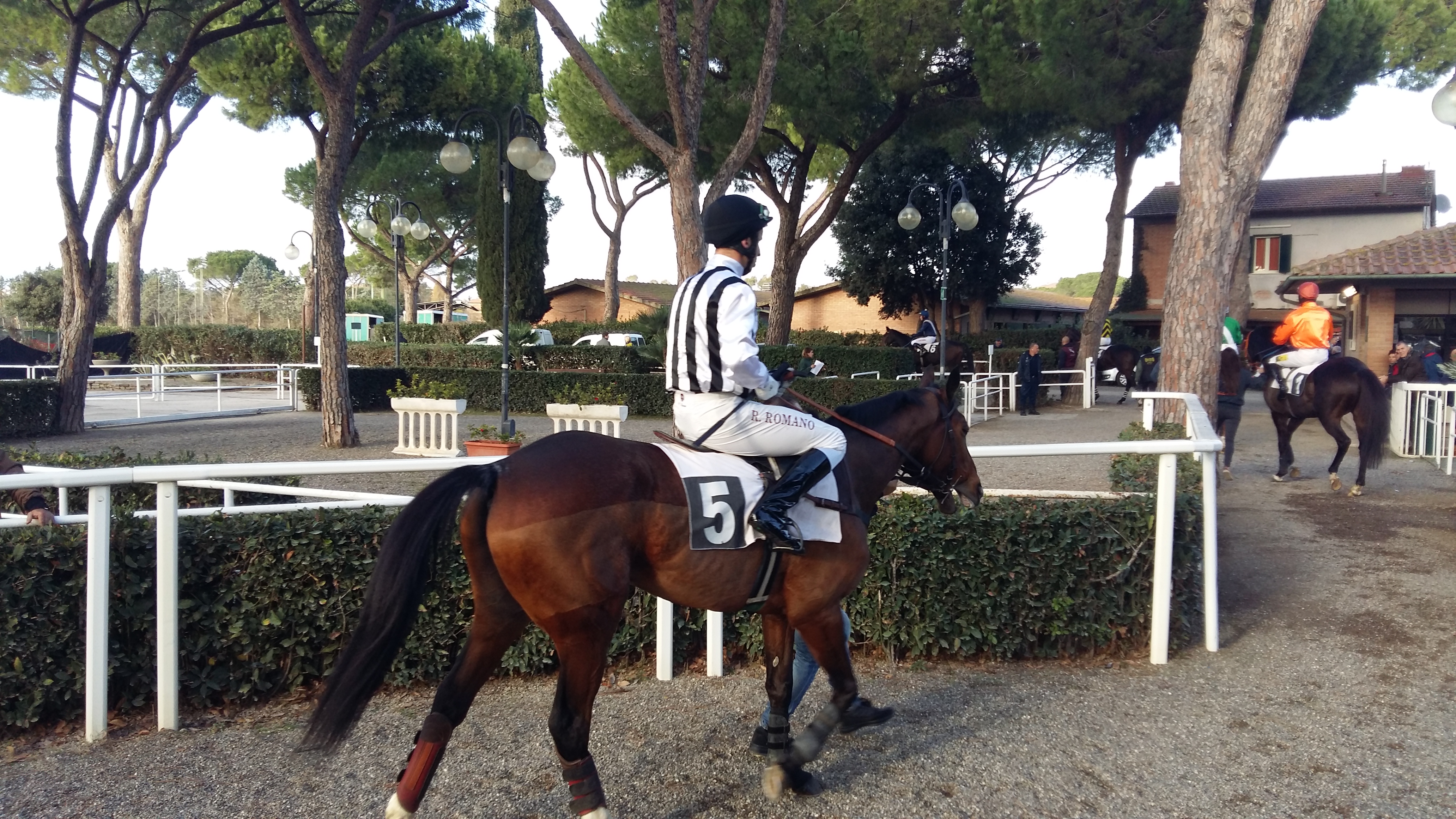 Grosseto. Vince ancora Tweety Cash nel cross, Arjen e Lord Of The Nile per la doppia di Paolo Favero in siepi