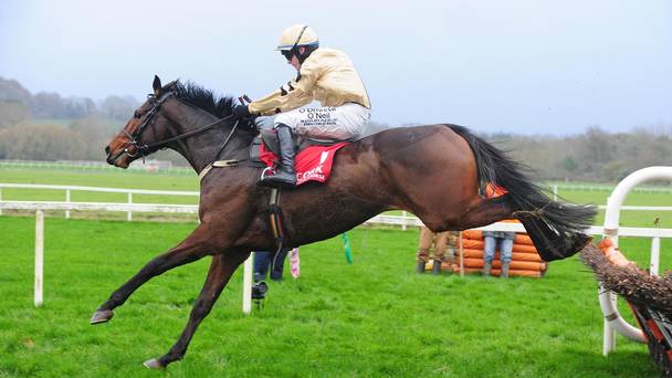 Irlanda. Tutto semplice per il favorito Bellshill nelle Navan Novice Hurdle di secondo grado