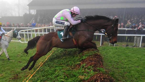 Punchestown. Djakadam passeggia nel John Durkan, battuto nettamente il compagno di allenamento Valseur Lido