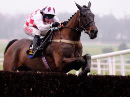 Leopardstown. Cade l’atteso Un De Sceaux (1/3), torna a ruggire il vecchio Flemenstar. Nelle Future Champion Novice Hurdle, splendida vittoria del ‘Ricci’ Long Dog