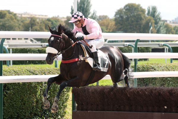 Natale a Pau. Saying Again vince il Prix Mortimer de Lassence e si candida al Grand Cross