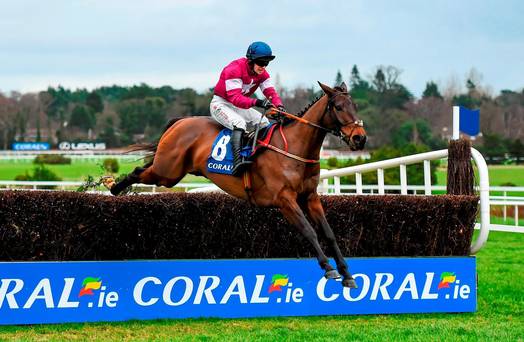 Leopardstown. Nel Coral Chase splendida vittoria di Empire Of Dirt con in sella il giovane Jonathan Moore