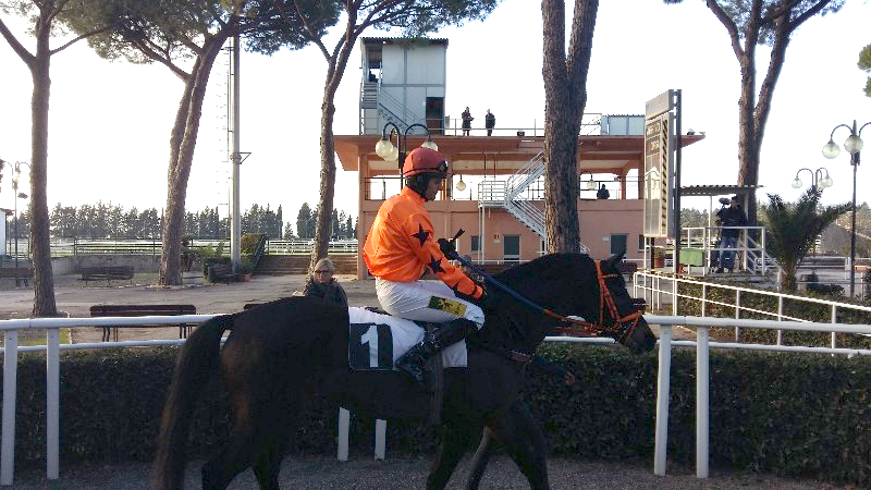 Pisa giovedì. Paolo Allegri ci presenta la giornata di San Rossore, clou lo steeple in apertura di programma