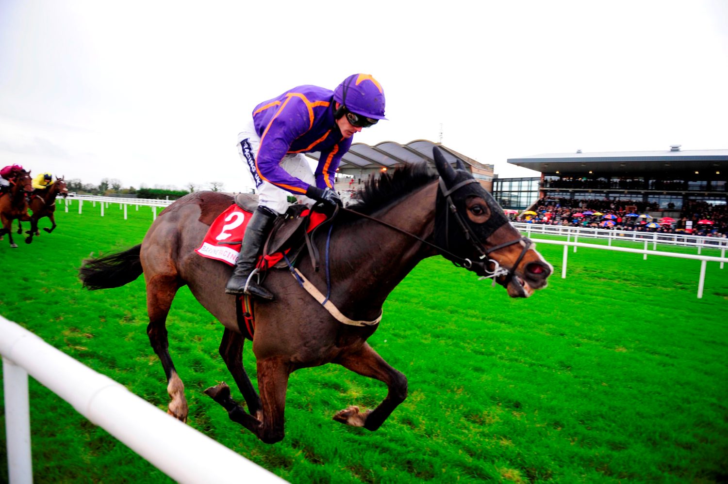 Irlanda. Dopo Faugheen si ferma anche Arctic Fire, fuori dalle prossime Champion Hurdle