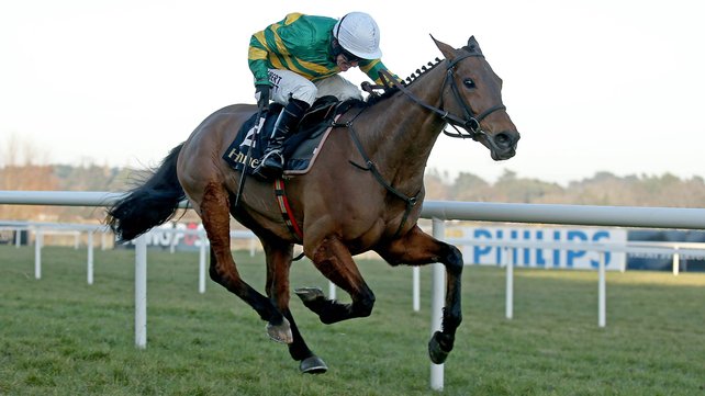 Leopardstown. Carlingford Lough (20/1) vince per il secondo anno consecutivo la Irish Gold Cup. Valseur Lido cade alla fence finale, secondo l’atteso Road To Riches