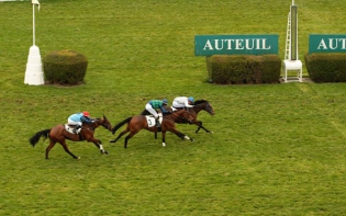 Auteuil. Milord Thomas prudente al rientro è terzo. Nel Prix Troytown vince Jemy Baie su Saint Pistol. Device devastante nell’Indy