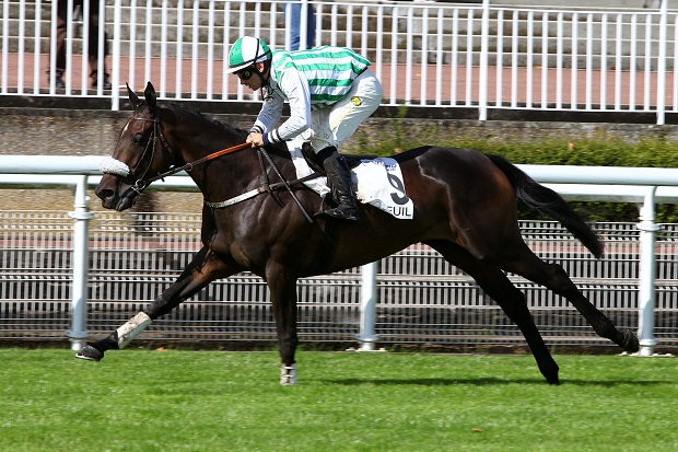 Auteuil. Domenica un’edizione interessante del Prix Hubert d’Aillières, Macaire rilancia la femmina volante Corscia. In pista anche Roches Cross, ceco protagonista a Pisa nella Gran Siepi Nazionale