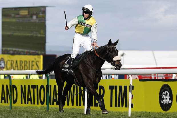 Aintree. Many Clouds difenderà il titolo nel Grand National. Walsh ancora indeciso, McCoy tifa Carlingford Lough