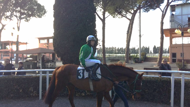 Super sabato a Treviso con lo Steeple Chase la Corsa in Siepi e Duca Amedeo D’Aosta