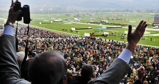 Inghilterra. L’attesa è finita, Cheltenham inizia ed attende il boato del popolo di Prestbury Park, quattro le corse di gruppo uno con la Stan James Champion Hurdle la prova più attesa del pomeriggio