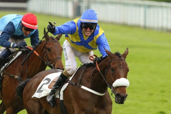 Auteuil. Colpo a 20 contro 1 di Paulougas nel Prix Jean Stern, secondo il favorito Punch Nantais. As D’Estruval vince il Prix Ingré. Vincono anche per gli attesi Device e Blue Dragon