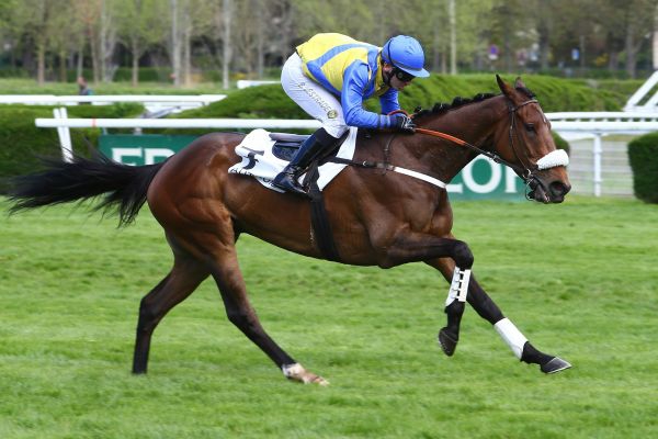 Auteuil. Dominio Macaire, As D’Estruval vince il Murat, ancora negativo Milord Thomas. Device facile nel il Prix Pépinvast