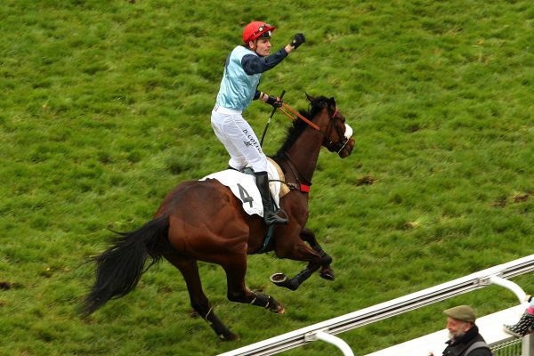 Francia. Sabato il Prix Léon Olry Roederer ricco gruppo due per anziani siepisti dove torna in pista il crack Blue Dragon, reduce dalla brutta battuta d’arresto del Grand Prix d’Automne