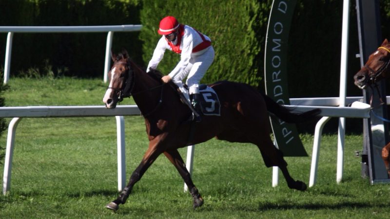 Merano. Nella seconda domenica di Maia ci sono in pista i novizi di tre anni sulle siepi e gli anziani nello steeple piccolo. L’irlandese di Paolo Favero The Plough chiamato alla conferma, Nelly Darrier nuovo esame steeple