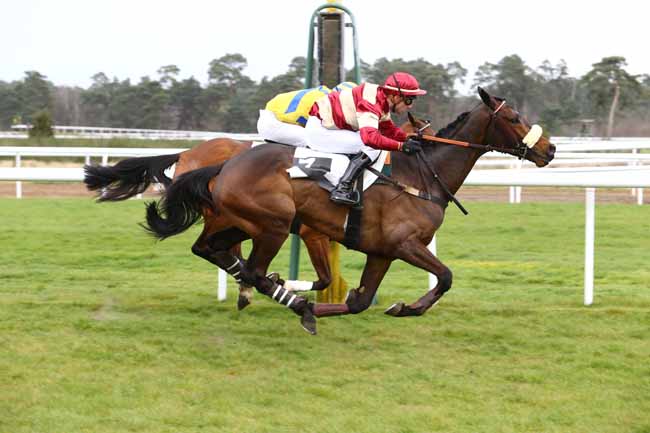 Fontainebleau. Vazabelle du Lion vince in volata su Votre Plaisir il Grand Steeple Cross de La Solle