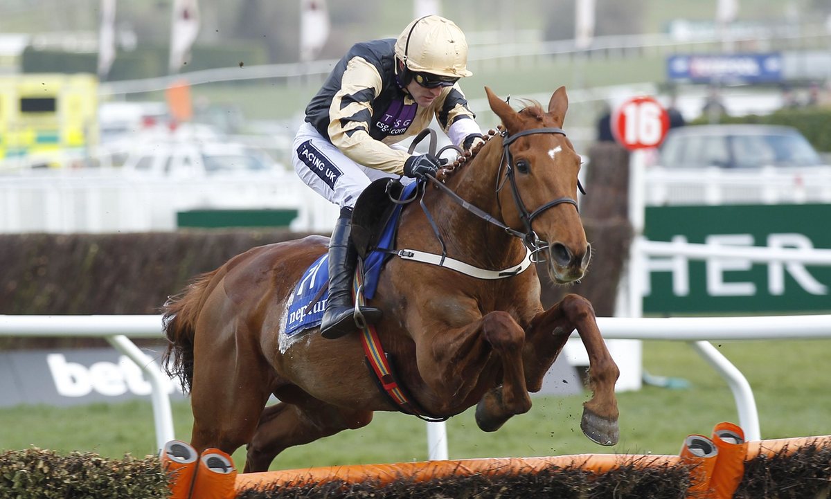 Irlanda. Domenica a Fairyhouse la prima della tre giorni di Pasqua con la Ryanair Gold Cup Novice Chase, in pista Yorkhill vincitore a Cheltenham della Jlt e candidato alla Gold Cup 2018